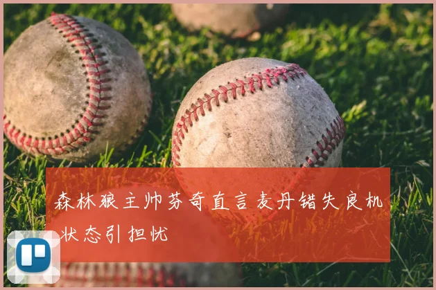森林狼主帅芬奇直言麦丹错失良机 状态引担忧